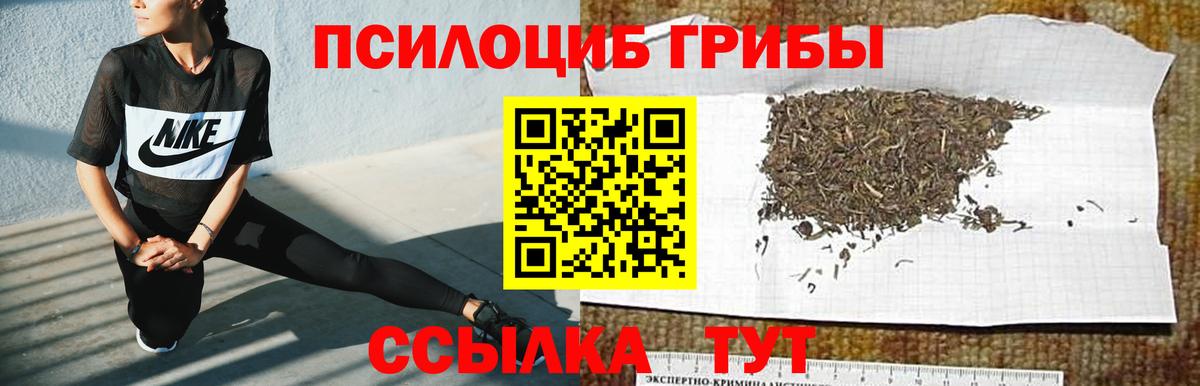 Псилоцибиновые грибы MAGIC MUSHROOMS Стрежевой